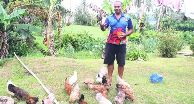 Abraham Masivesi Pickering at his poultry farm in Nakobo village in Savusavu. Photo: Wati Talebula