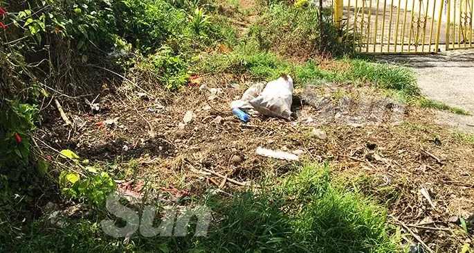 After the rubbish was removed from this spot some residents continue to dump rubbish on the same spot. Photo: Renu Radhika