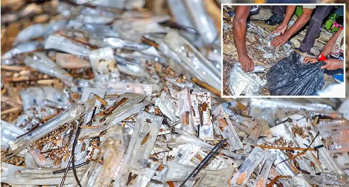 A collection of syringes found along the shoreline at Rifle Range in Vatuwaqa, Suva. Inset: Officers collecting the syringes. Photos: Pita Simpson