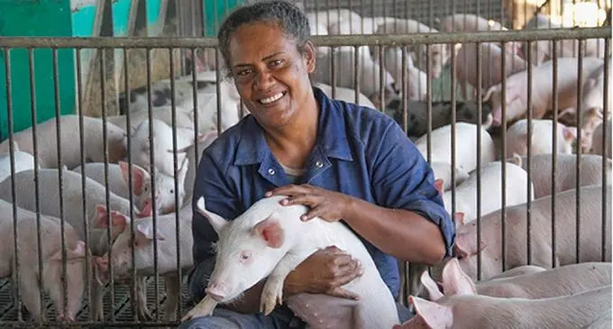 FCLC Piggery Farm2016_MG_4579 2