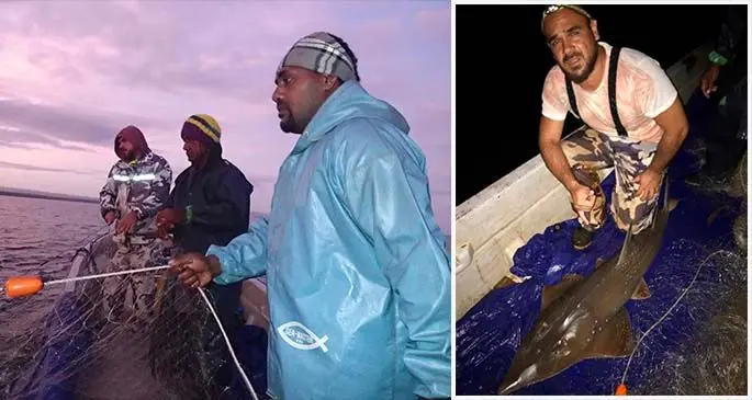 Left: Deploying the gill nets in the estuary of the Dreketi River. Pictured is community rep Solomone Tuqara. Right: A bottlenose wedgefish listed as Critically Endangered on the IUCN red list is caught by the mangroves at the mouth of the Dreketi River. Photos: WWF-Pacific  