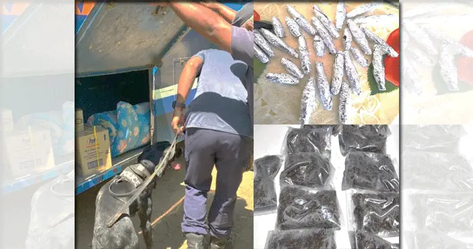 Two students, one from Lautoka, the other from Nausori, were arrested after they were allegedly found in possession of illicit drugs in the school premises over the past week.