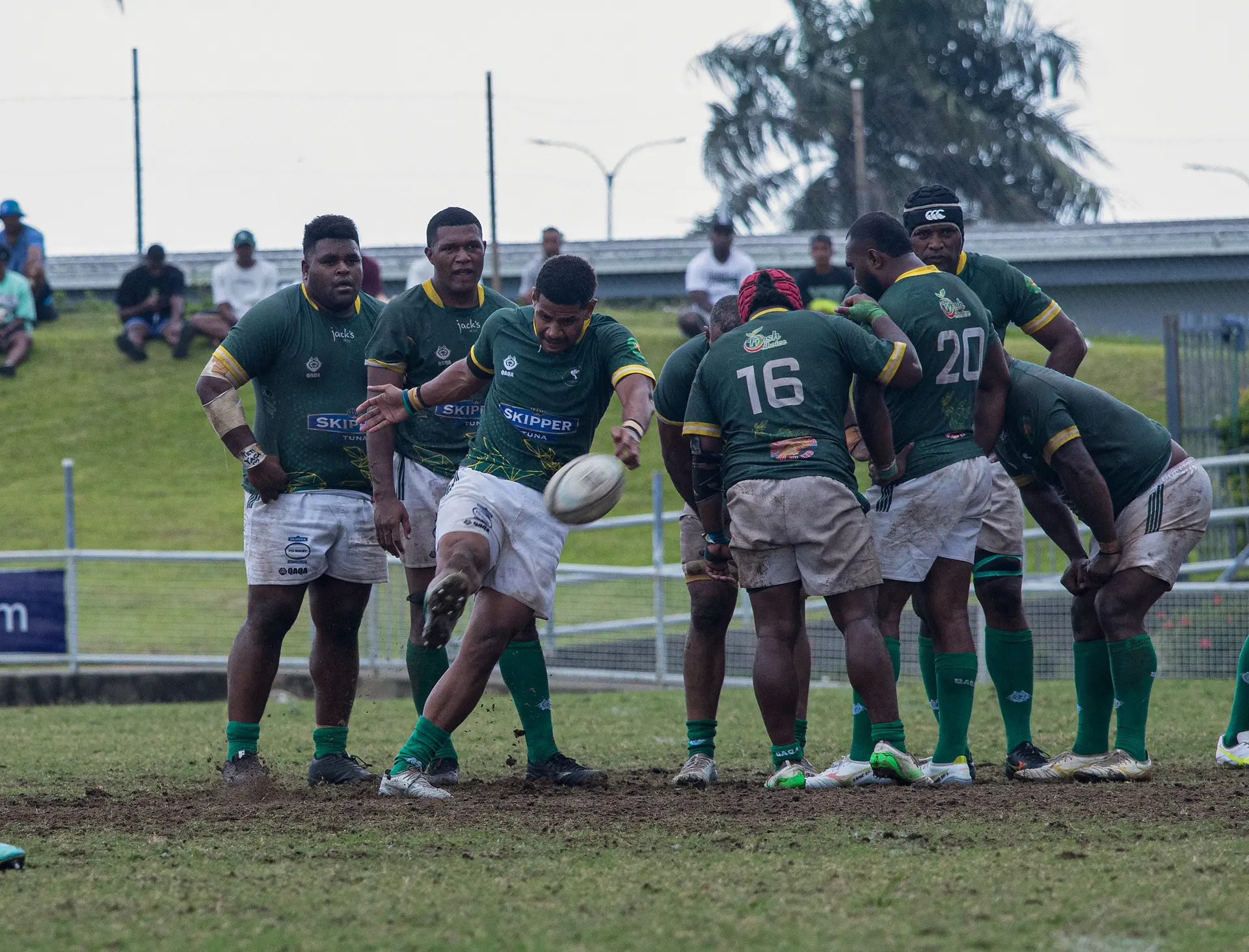 Tailevu 