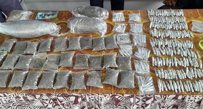 Haul brought in by Labasa and Savusavu Narcotics officers during their pursuit of an anonymous tip which led to the discovery of  alleged illicit drugs believed to be marijuana. Photo: Fiji Police Force