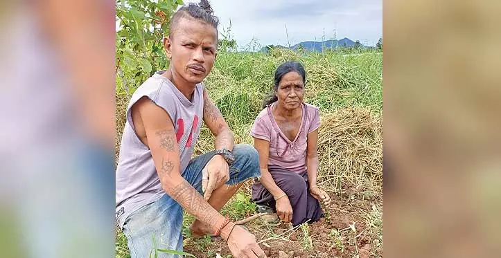Birendra Kumar with his mother Prakash Wati planting cassava in Namara, Labasa, on July 31, 2023. Photo: Shratika Naidu