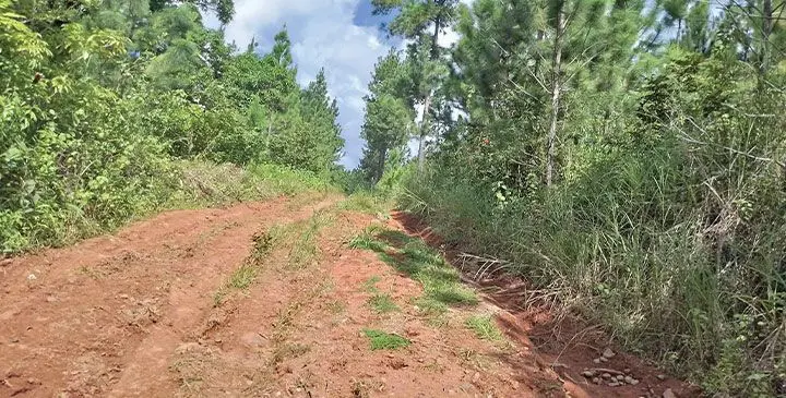 The road that connects Nasealevu, Virikilai Va’uwa and Logani.