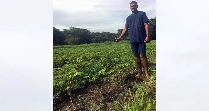 Ilai Derenalagi (nephew of Vonivate Driu) pointing to his uncle's 12 acre land at Namulomulo in Nadi.