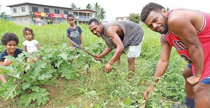 From left: Naomi Bukausisi, Joseph Kosoyivuna, Taniela Serutata, Tuivanua Kula and Kinijoji Siliyadua in their backyard garden at Nacula Village, Labasa, on August 1, 2023. Photo: Shratika Naidu