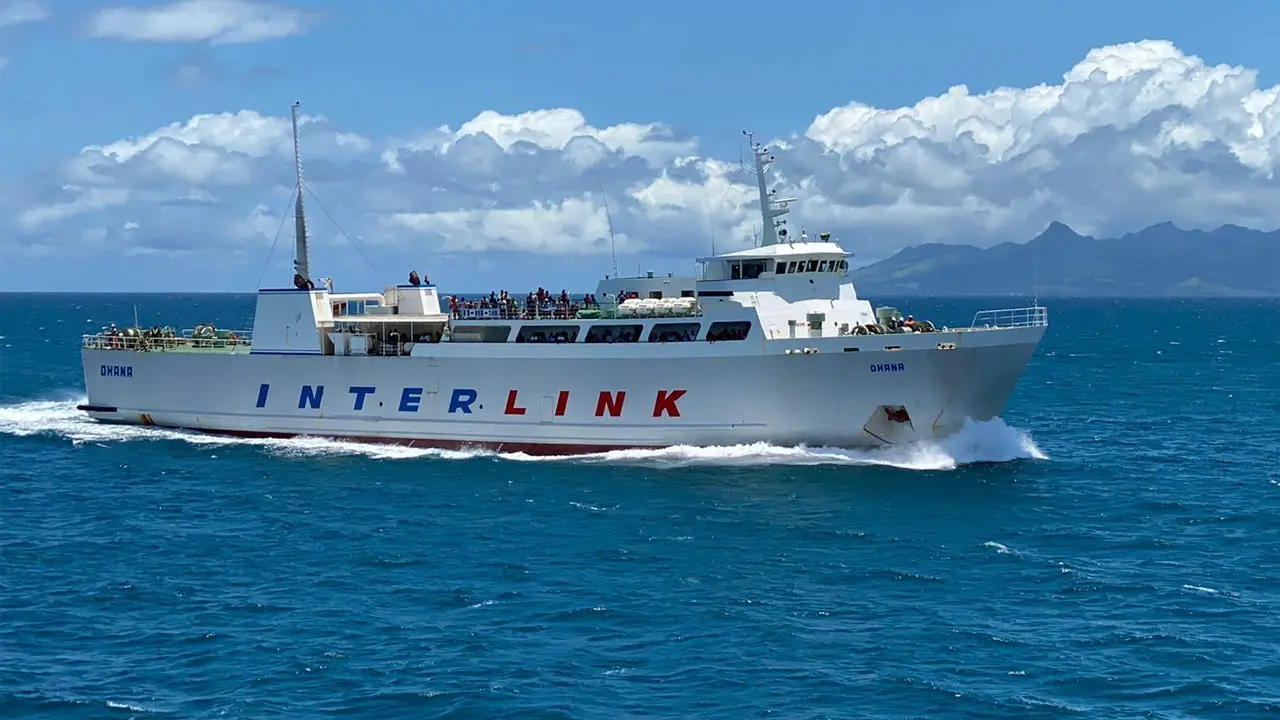 interlink