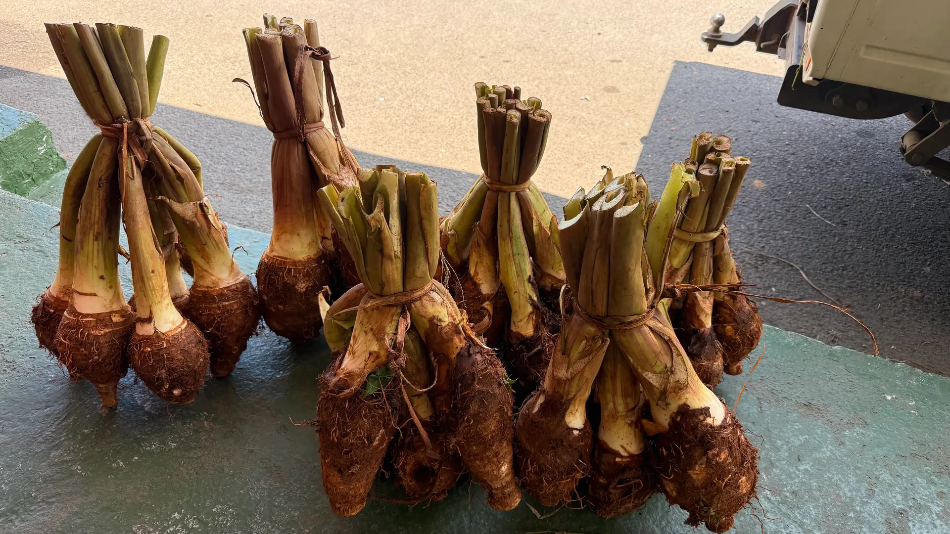 Freshly harvested homegrown dalo by inmates, now available for $25.