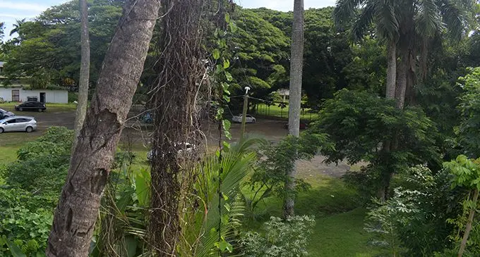 Thurston Gardens.