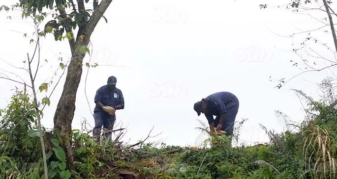 Police Forensic officers investigate the body found hanging from a tree at Colo-i-Suva on August 20,2020. Photo: Ronald Kumar.
