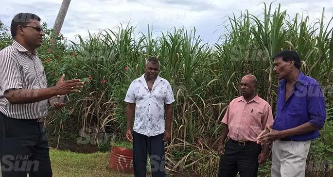 The Acting chief executive officer of the Sugar Cane Growers Council Sunil Deo, Sheik Mirza, the Sugar Cane Growers Council senior executive officer for the Lautoka Mill area, Sashi Kant and Sheik Rahim at Naviyago Village in Lautoka on April 2, 2020. Photo: Nicolette Chambers
