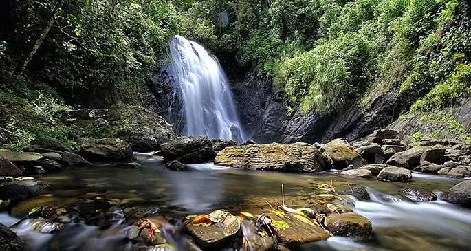 Vuadomo waterfall in Savusavu