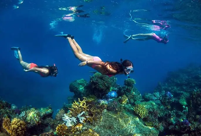 Reef Endeavour activity.