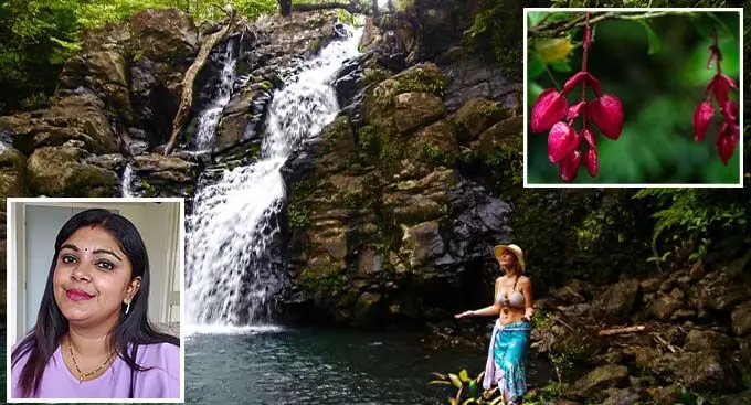 Bouma Waterfalls in Taveuni. Bottom Left Inset: Entrepreneur Raksha Priya Dave. Top Right Inset:The endangered Tagimoucia flower. 