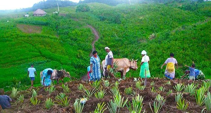 The Ministry of Agriculture says it has to fix farm roads before it can improve on its mechanisation plans.