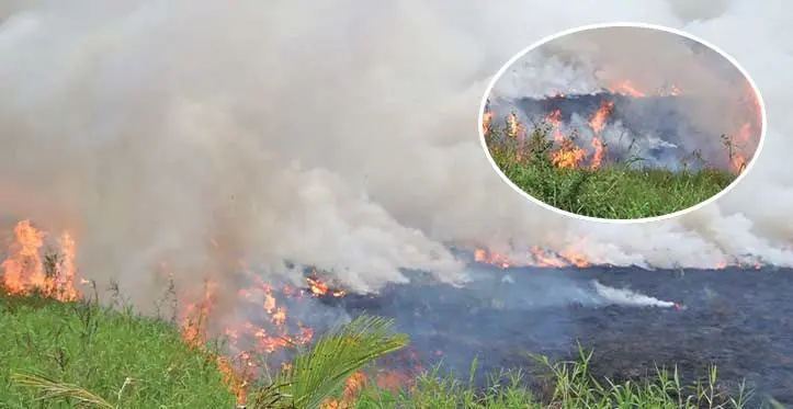 Forest fire in Sigatoka on October 11, 2023.
