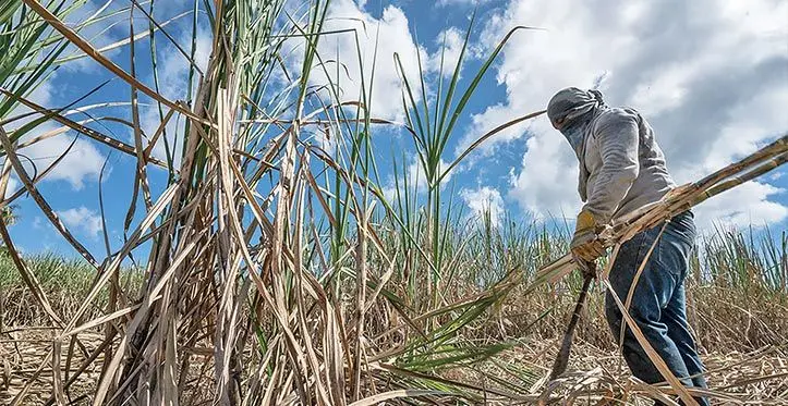 Farmers are expected to benefit tremendously from the insurance scheme.