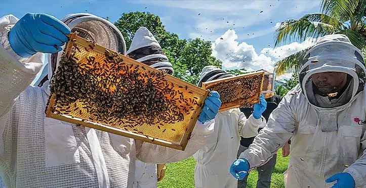 Beekeepers at the Pacific Island Bee Congress at Tanoa International Hotel in Nadi on May 23,2023. Photo: Waisea Nasokia