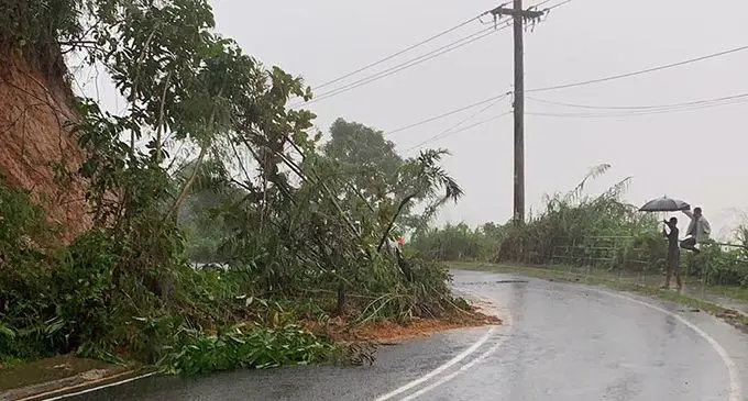 Princes Road towards the Rewa roundabout end has been reduced to a single lane due to a slip
