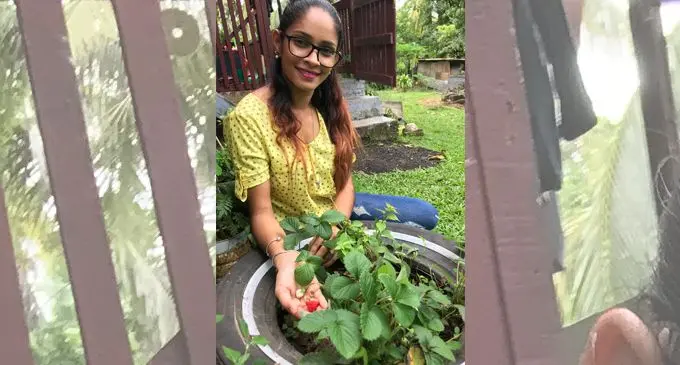 Aqeelah Bano Mani on June 7, 2020, with her first strawberry fruit she planted on her garden at Batinikama, Labasa.  Photo: Shratika Naidu 
