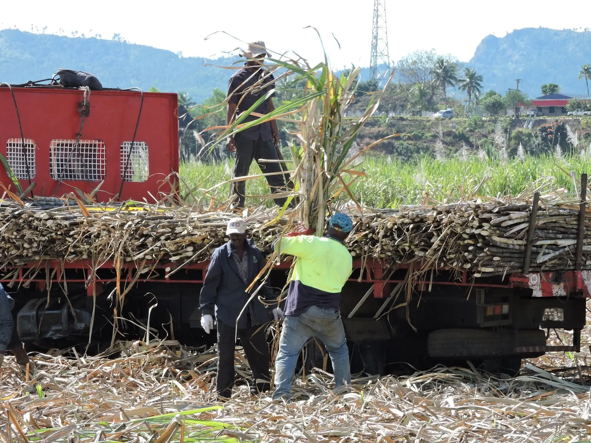 Fiji Sugar Corporation (FSC) Labasa mill will begin crushing on Wednesday, June 17, 2026. 