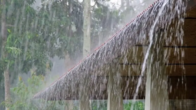 rain