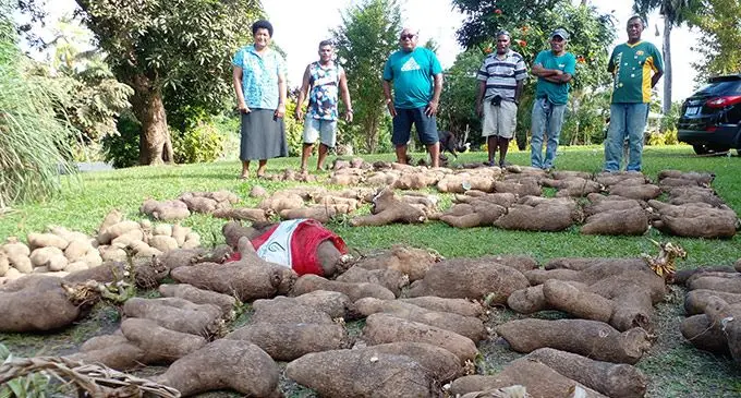 (Left-Right) Fiji Crop and Livestock Council chief executive officer, Ms Jiu Daunivalu, Luke Vukicea, Vice President for Maika Bolatolu, FYFA General Secretary Mr Mesake Raikoro, Farmer Viliame Lomaloma and President for the Fiji Yam Farmers Association, Mr Isireli Mokunitulevi in Suva on August 24, 2022.  Photo: Jone Salusalu