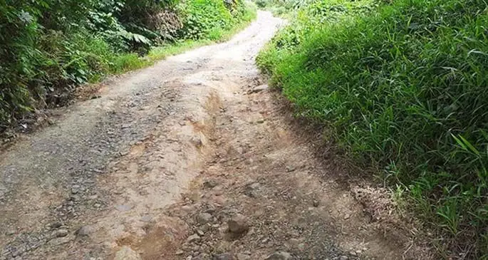 Korovesi Road in Savusavu.