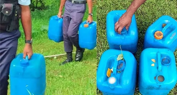 Seizure of several gallons allegedly containing rice whisky in Qelemumu, Labasa on Friday.