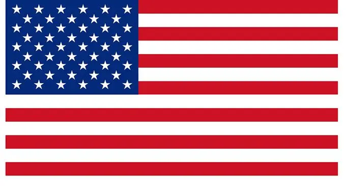 flat-and-waving-american-flag-vector-2899627