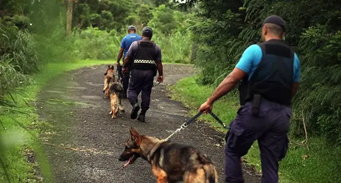 K9 Qiwi, K9 Que, and K9 Quiz were deployed with their handlers PC Jasa Kadivuka, PC Valevatu Rabuku and PC Niumaia Draunimasi to assist with the monitoring of unnecessary movement within the Suva lockdown areas. Photo: Police Media Cell