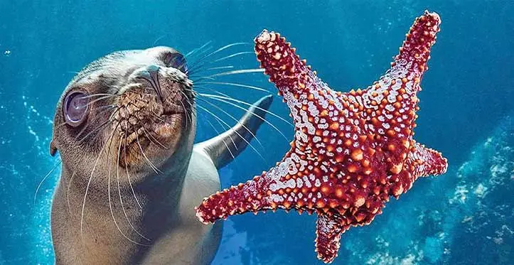The oceans are the lungs of our planet and a major source of food and medicine.