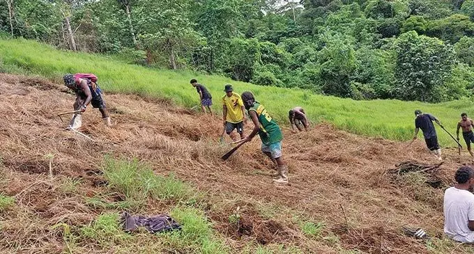 Eso vei ira na cakacaka tiko ena teitei mai Wainibau, Tailevu
