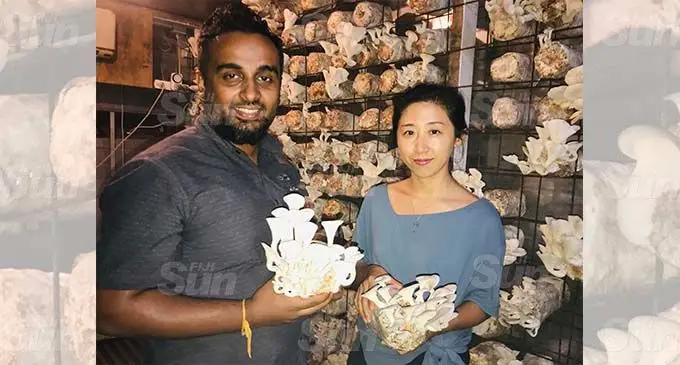 From left: Bula Mushrooms co-diirector Vinit Lal with his first customer Bonny Zhao at the commercial farm in Lautoka. Photo: Charles Chambers