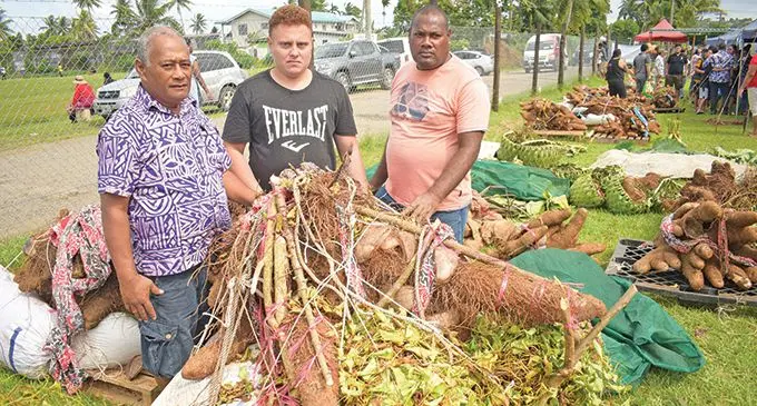 From left: Farmers Patrick Veu, Augustin Yabaki and John Ba with yams and taro they brought for the Fiji Rotuman Farmers Association backyard farmers yam, taro competition 2022 at St. Marcellin School on May 14, 2022.  Photo: Ronald Kumar