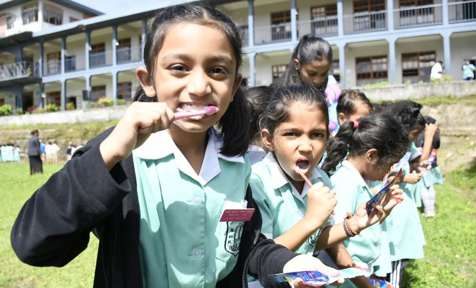 National Toothbrushing Day