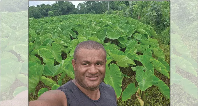 Ko Sakaraia Rokotakala ena nona vakayagataka vinaka tiko na gauna me teivaka kina na qele e lisitaka tiko mai Navua. E rauta ni lima na eka na levu ni vanua e ratou teitei tiko kina vakaveitamani