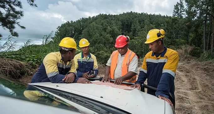 Fiji Pine workers.