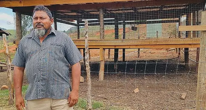 Livestock farmer Aiyub Khan at Sabuta in Nadogo District, Macuata, is emphasising on pasture management training or workshops for farmers like him.