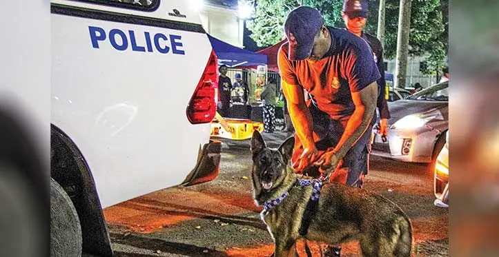 K9 Hazza and the Police k9 team out on Saturday conducting ops in Suva. Photo: Police Media Cell.
