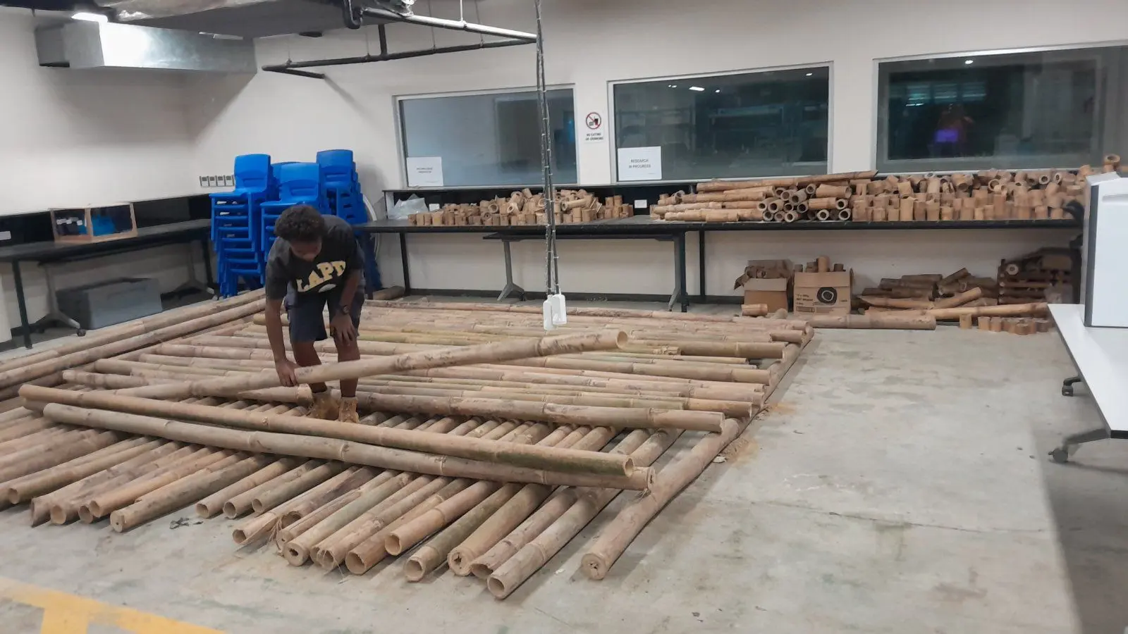 The FNU Bamboo Research Project, based at the university’s Research and Development Building at the Derrick Campus in Samabula, is focusing on the Dendrocalamus giganteus bamboo species, known for its rapid growth and high strength.