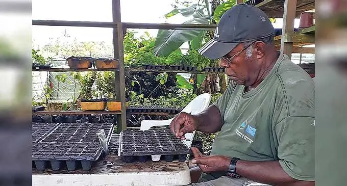 Ko Apisai Ucuboi ena nona bucina tiko eso na i tei ni kakana draudrau ena vanua e cicivaka tiko kina na nona bisinisi mai Verata, Wailevu.