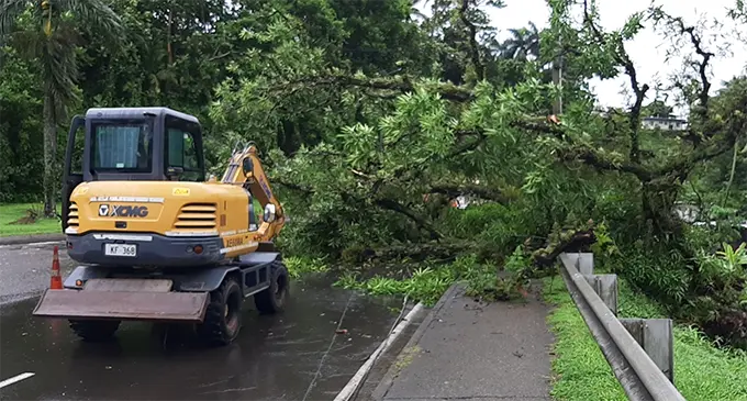 Fallen Tree at Ratu Mara is being cleared