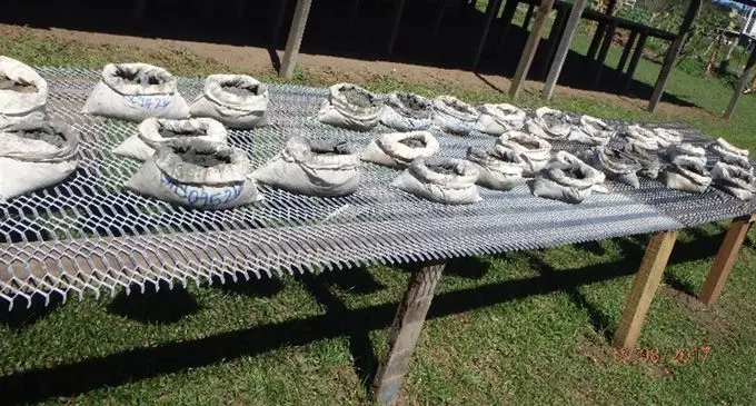 Sample drying area