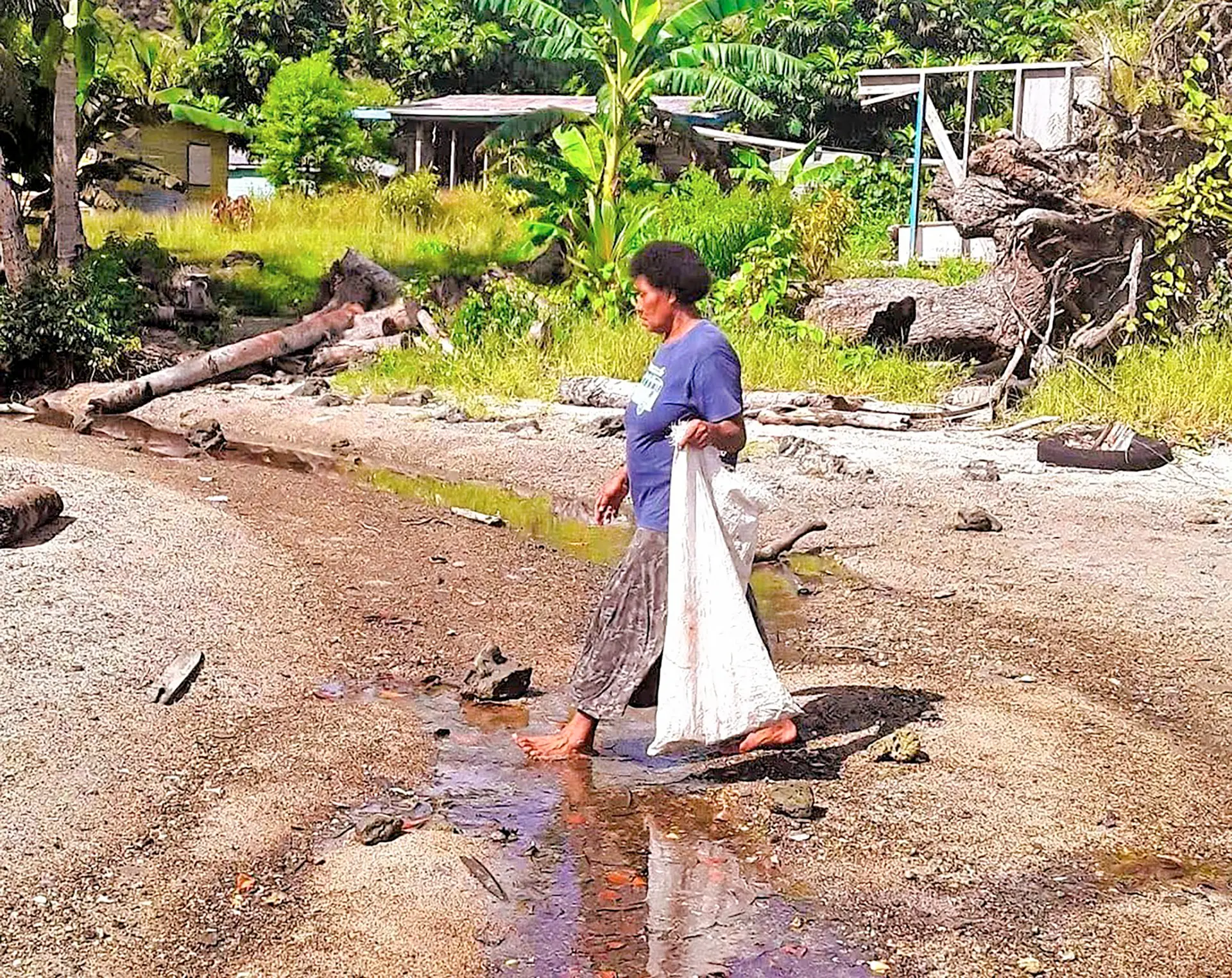 Seawall, saltwater intrusion, cyclone urmil, vegetation cover