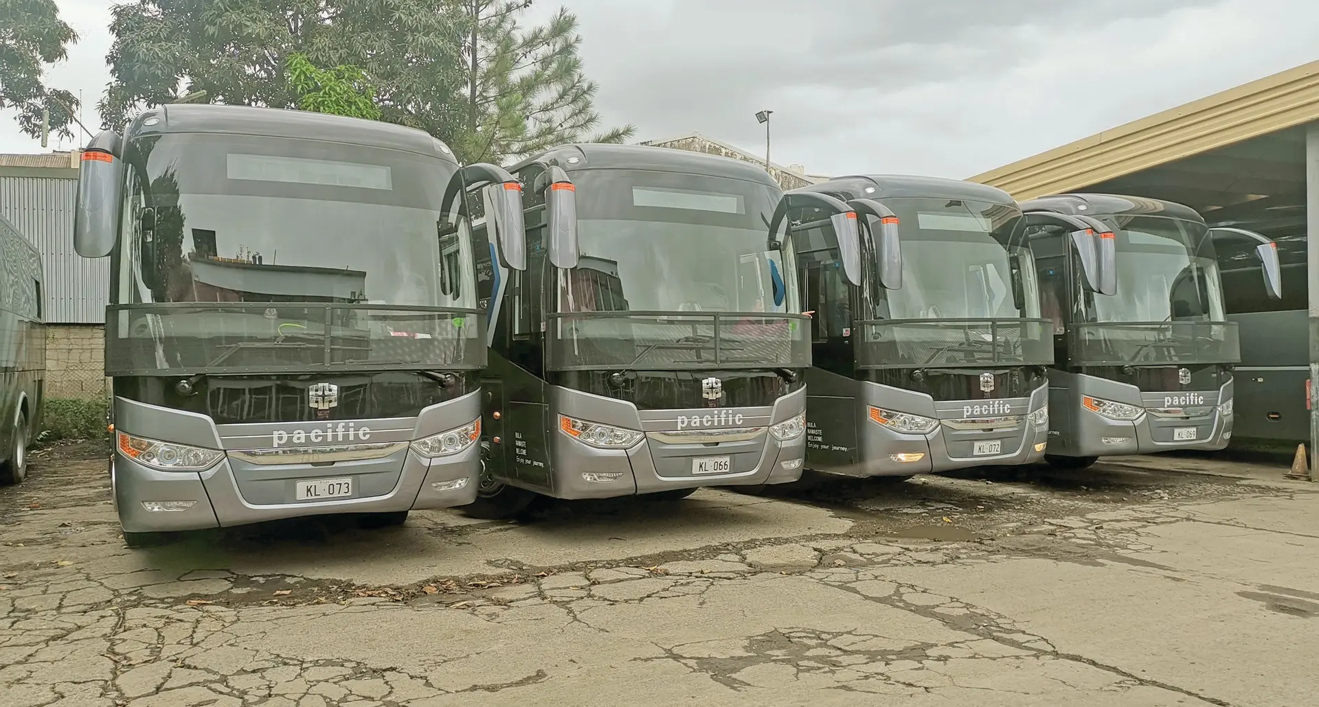 Pacific Transport Limited’s four new buses outside the company’s main office in Walu Bay, Suva on September 14, 2020. Photo: Lusiana Tuimaisala. 