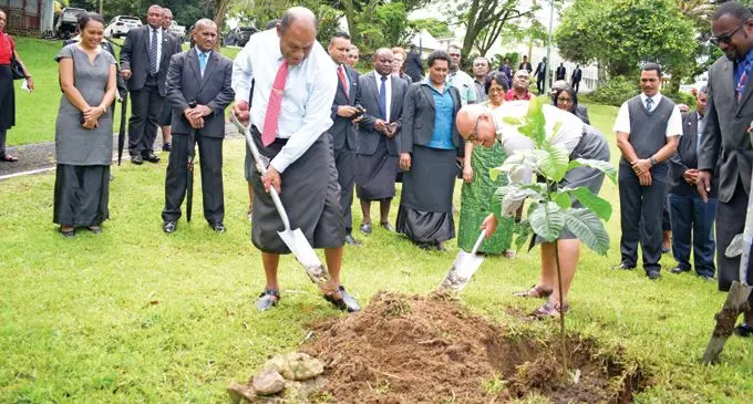 (From left- right) Minister for Forestry Osea Naiqamu and President Major-General (Ret'd) Jioji Konrote planting Masiratu Degeneria vitiensi plant at the State house on January 8, 2018. The Masiratu plant is also known as vavaloa and yaraqele, is the oldest Genera, that is endemic to Fiji and is common along areas for altitude of Viti Levu, Vanua Levu and Taveuni. Photo: WATI TALEBULA