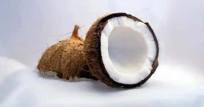 Source: (Fiji Coconut Millers)